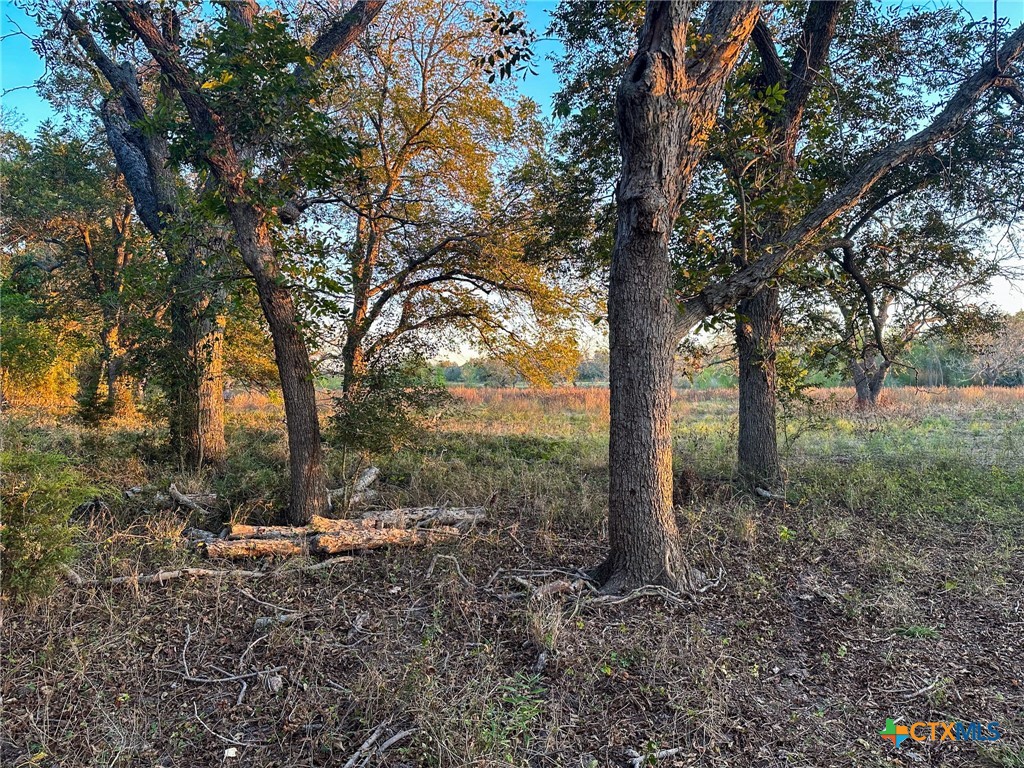TBD Oglesby Neff Park Road , Moody, TX, 76557 | 563051 | Realty Texas LLC