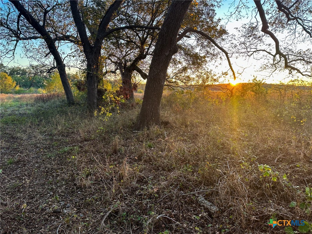 TBD Oglesby Neff Park Road , Moody, TX, 76557 | 563051 | Realty Texas LLC