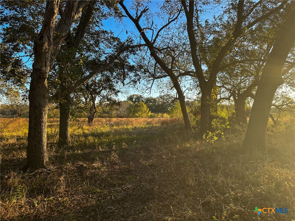 TBD Oglesby Neff Park Road , Moody, TX, 76557 | 563051 | Realty Texas LLC