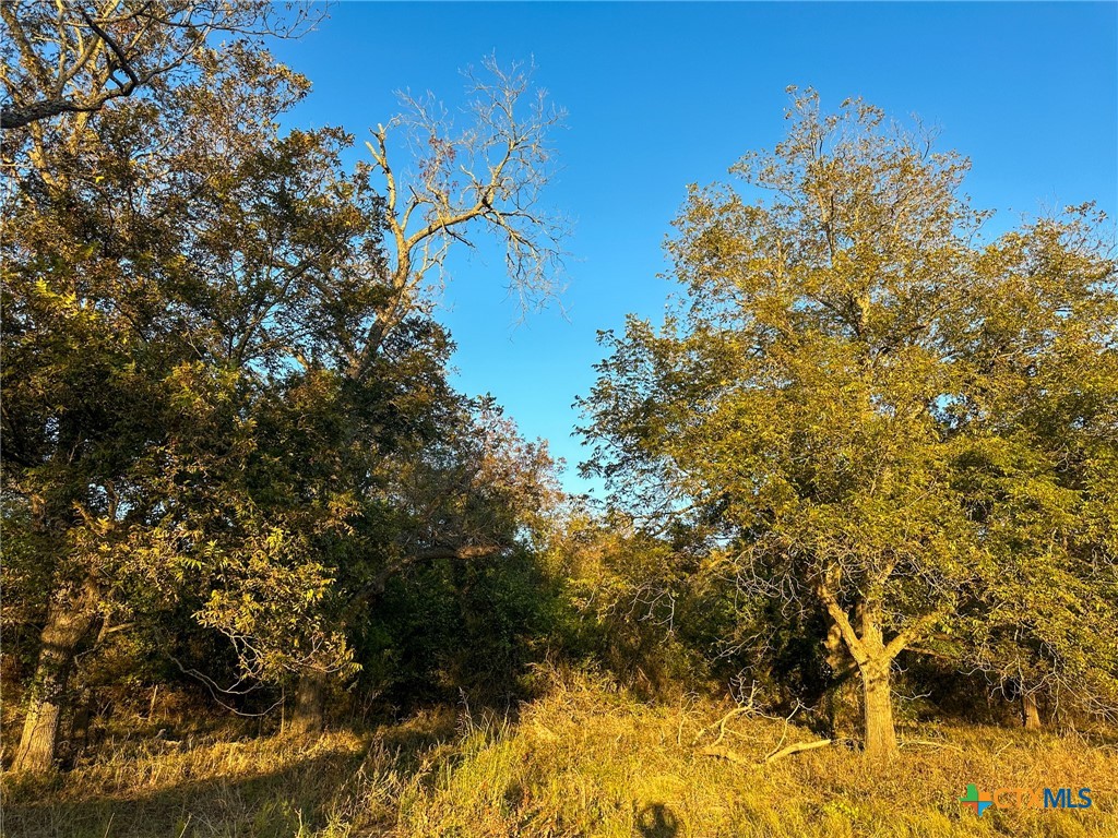 TBD Oglesby Neff Park Road , Moody, TX, 76557 | 563051 | Realty Texas LLC
