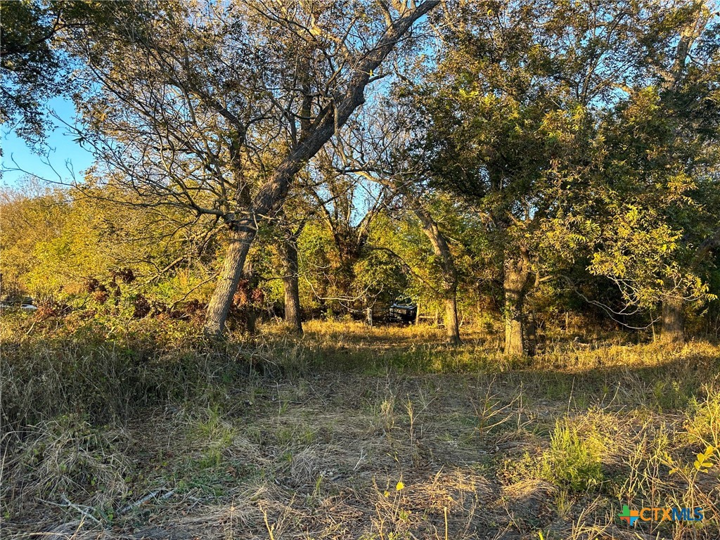 TBD Oglesby Neff Park Road , Moody, TX, 76557 | 563051 | Realty Texas LLC