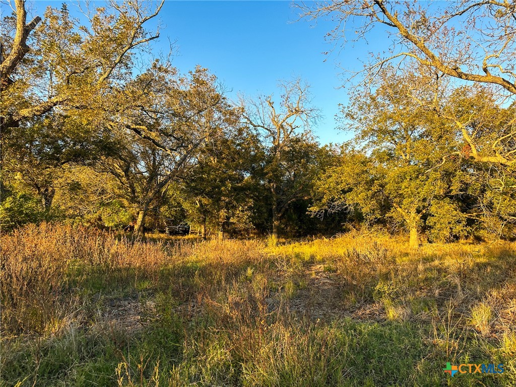 TBD Oglesby Neff Park Road , Moody, TX, 76557 | 563051 | Realty Texas LLC