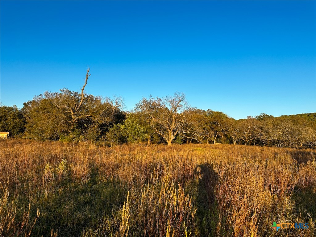 TBD Oglesby Neff Park Road , Moody, TX, 76557 | 563051 | Realty Texas LLC