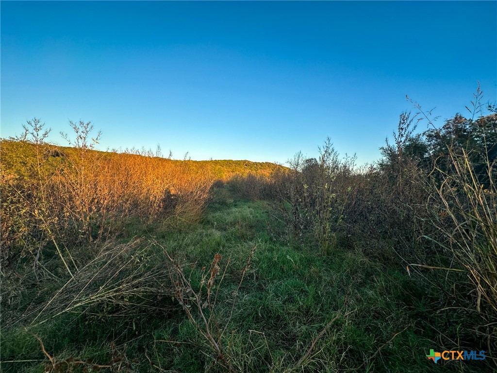 TBD Oglesby Neff Park Road , Moody, TX, 76557 | 563051 | Realty Texas LLC