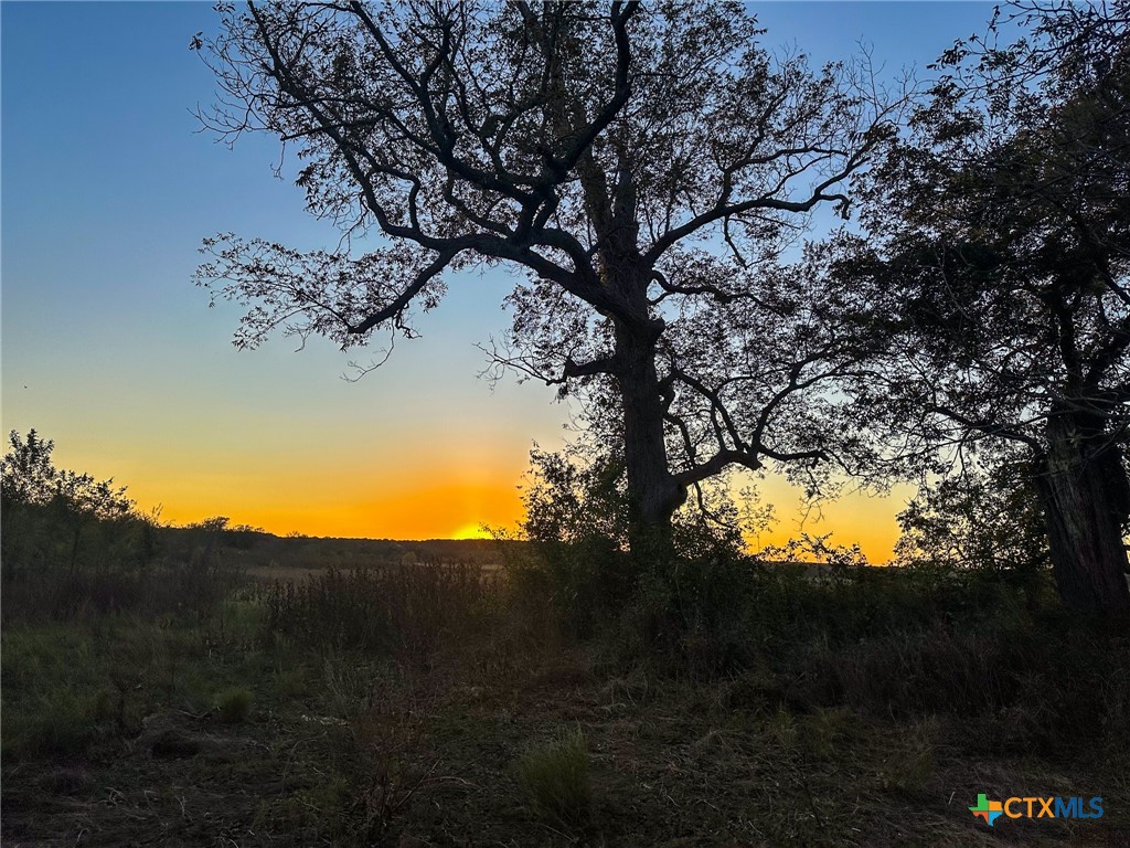 TBD Oglesby Neff Park Road , Moody, TX, 76557 | 563051 | Realty Texas LLC