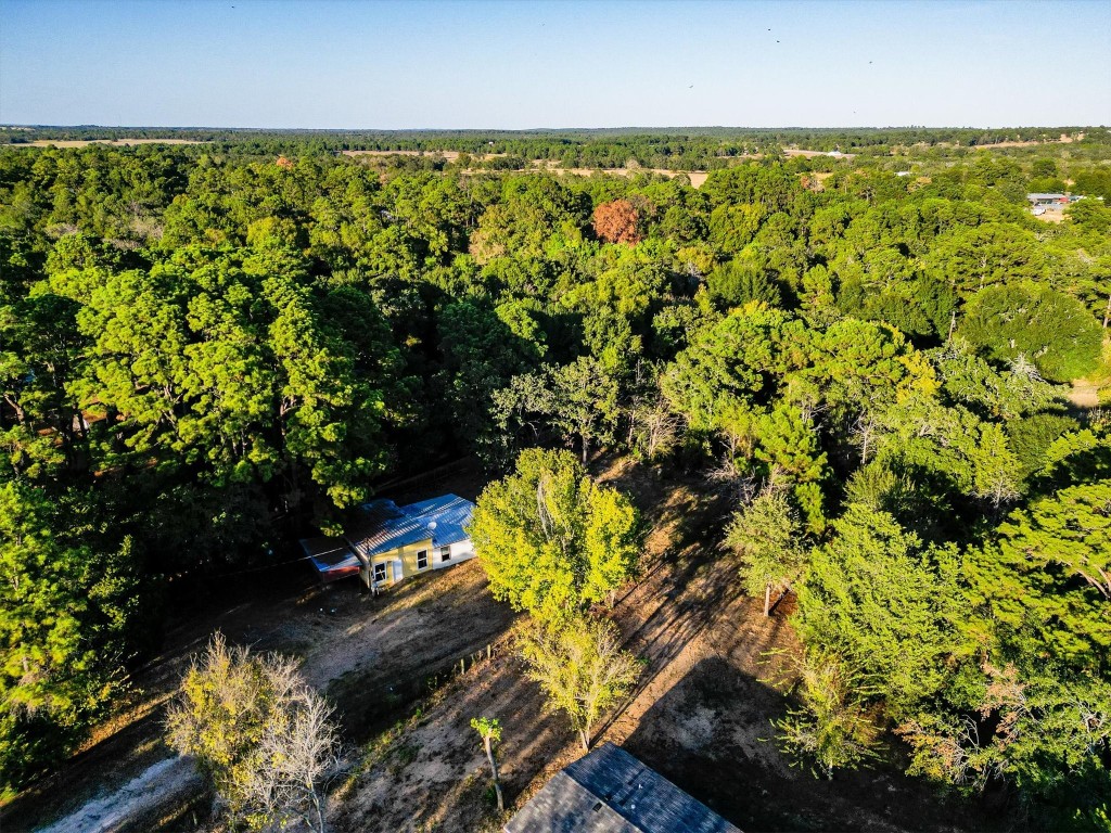 155 Pine Song , Bastrop, TX, 78602 | 3376093 | Realty Texas LLC