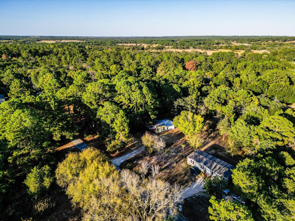 155 Pine Song , Bastrop, TX, 78602 | 3376093 | Realty Texas LLC