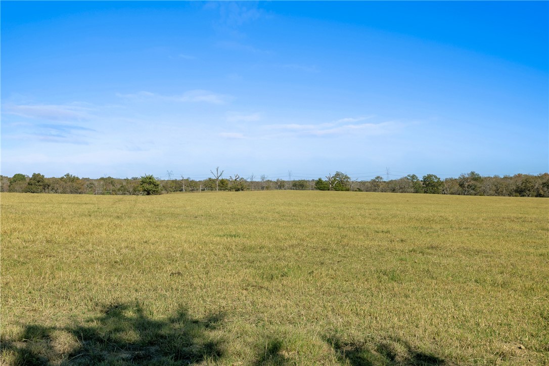5.9 AC Farm to Market 1940 , Franklin, TX, 77856 | 24015926 | Realty Texas LLC