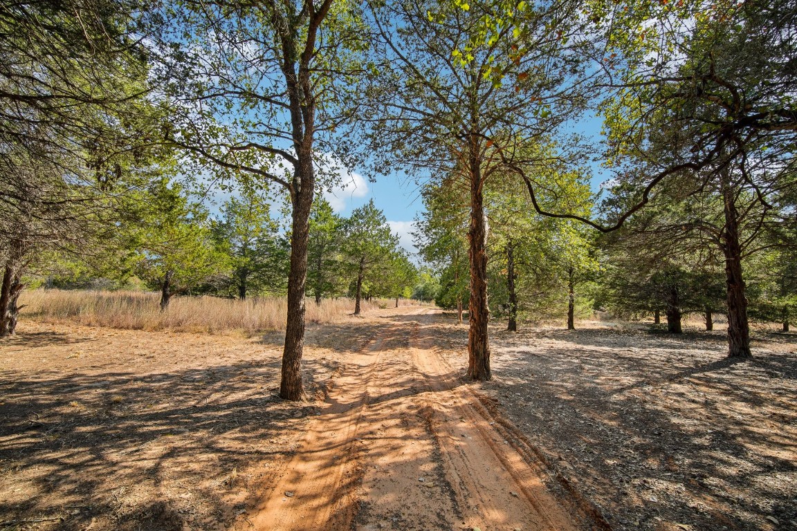 192 Carmen Hill Lane , Bastrop, TX, 78602 | 2316437 | Realty Texas LLC