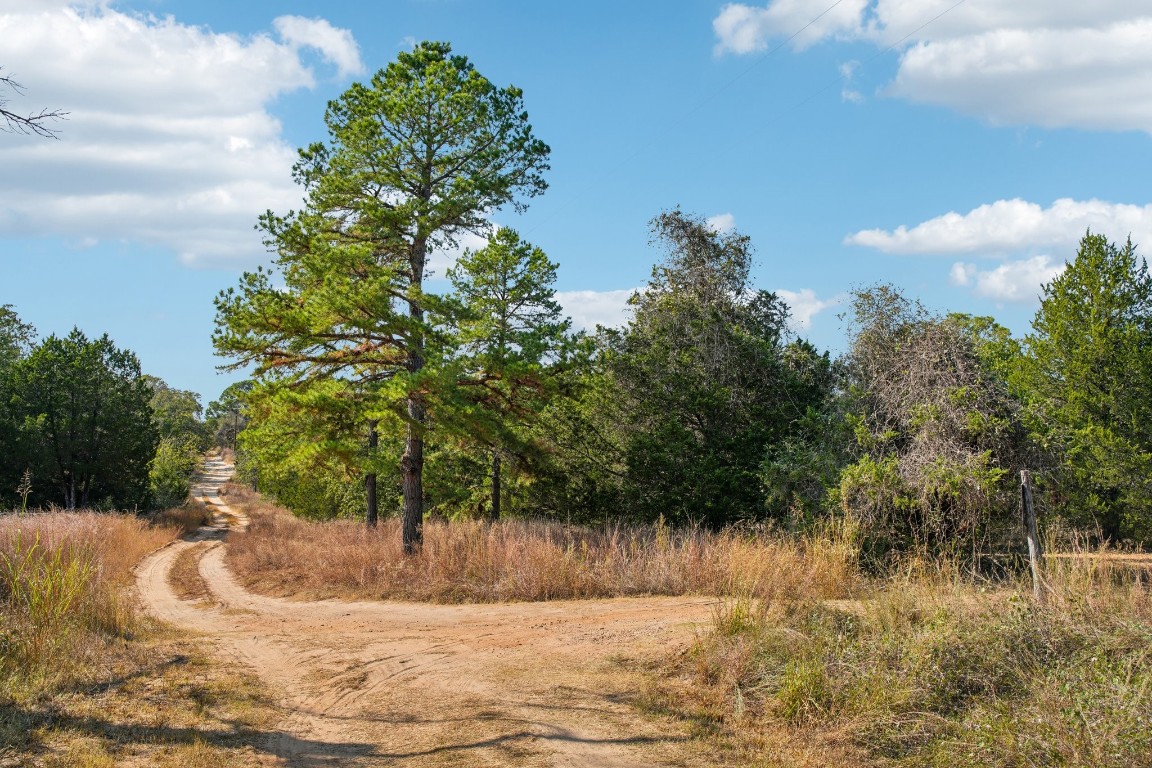 192 Carmen Hill Lane , Bastrop, TX, 78602 | 2316437 | Realty Texas LLC
