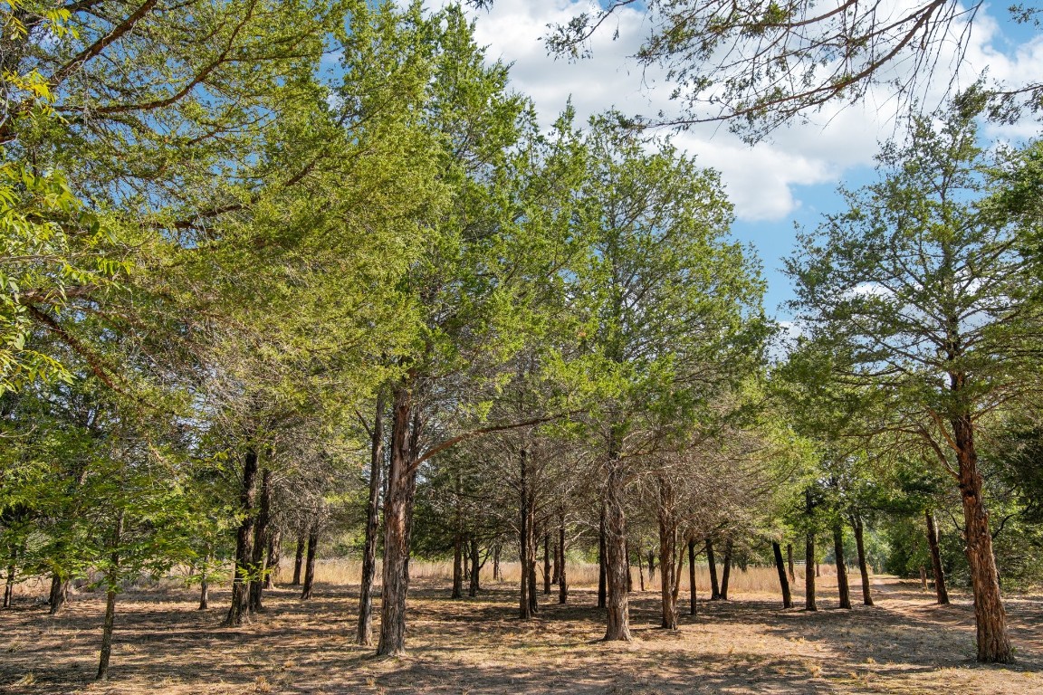 192 Carmen Hill Lane , Bastrop, TX, 78602 | 2316437 | Realty Texas LLC