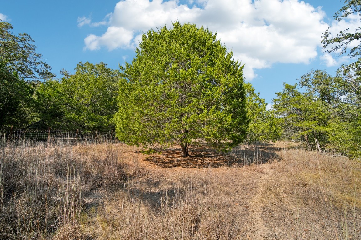 192 Carmen Hill Lane , Bastrop, TX, 78602 | 2316437 | Realty Texas LLC