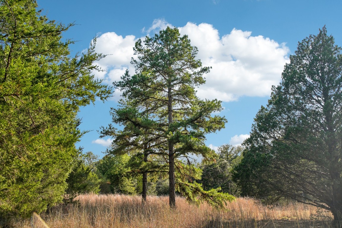 192 Carmen Hill Lane , Bastrop, TX, 78602 | 2316437 | Realty Texas LLC