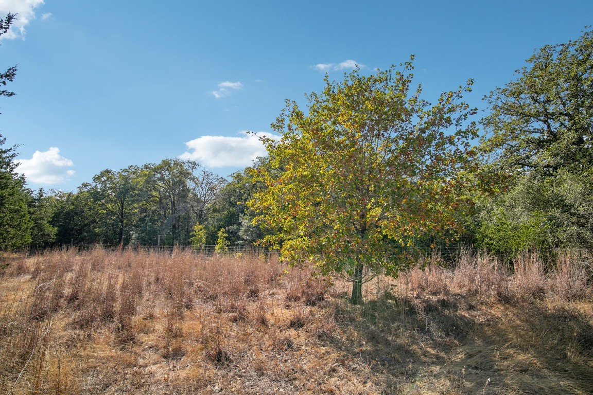 192 Carmen Hill Lane , Bastrop, TX, 78602 | 2316437 | Realty Texas LLC