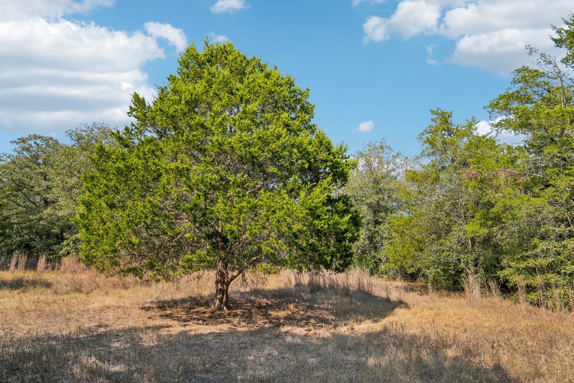 192 Carmen Hill Lane , Bastrop, TX, 78602 | 2316437 | Realty Texas LLC