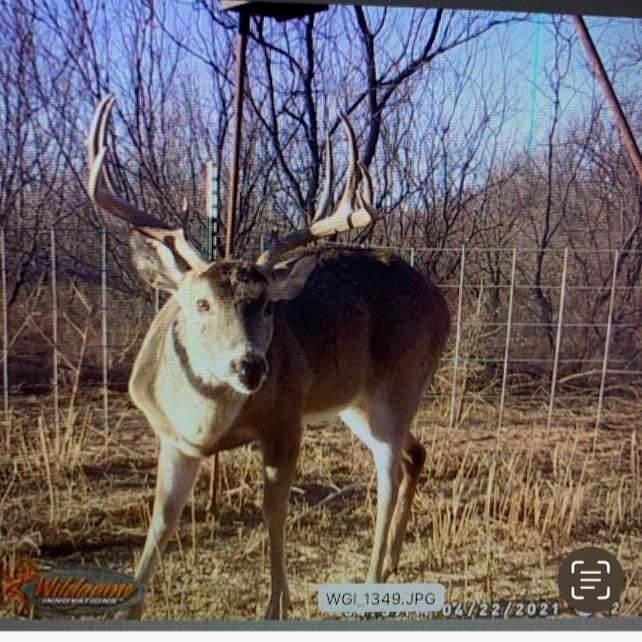 100+/- Ac TBD Hwy 6 , Lueders, TX, 79533 | 20792430 | Realty Texas LLC