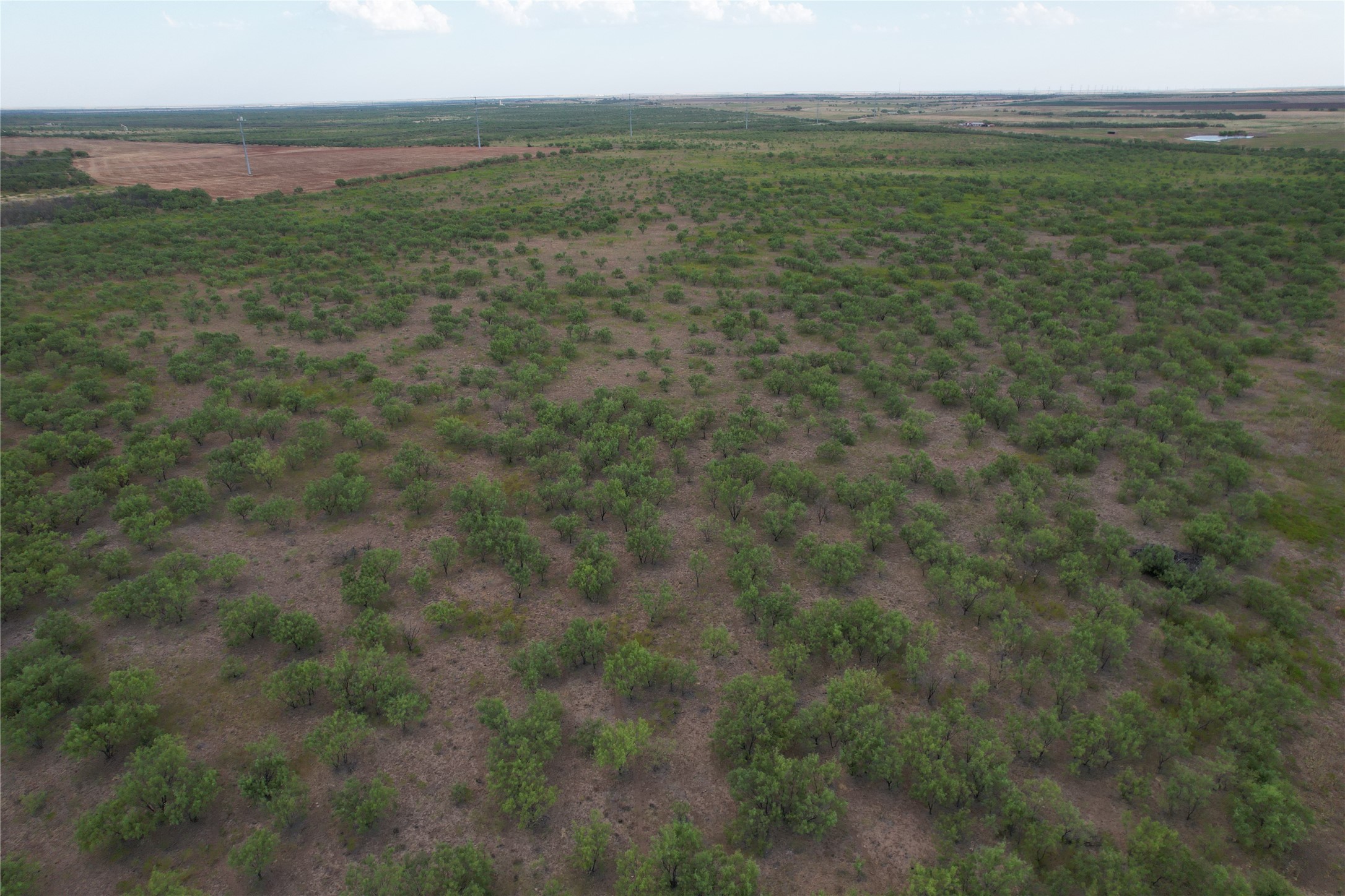 100+/- Ac TBD Hwy 6 , Lueders, TX, 79533 | 20792430 | Realty Texas LLC