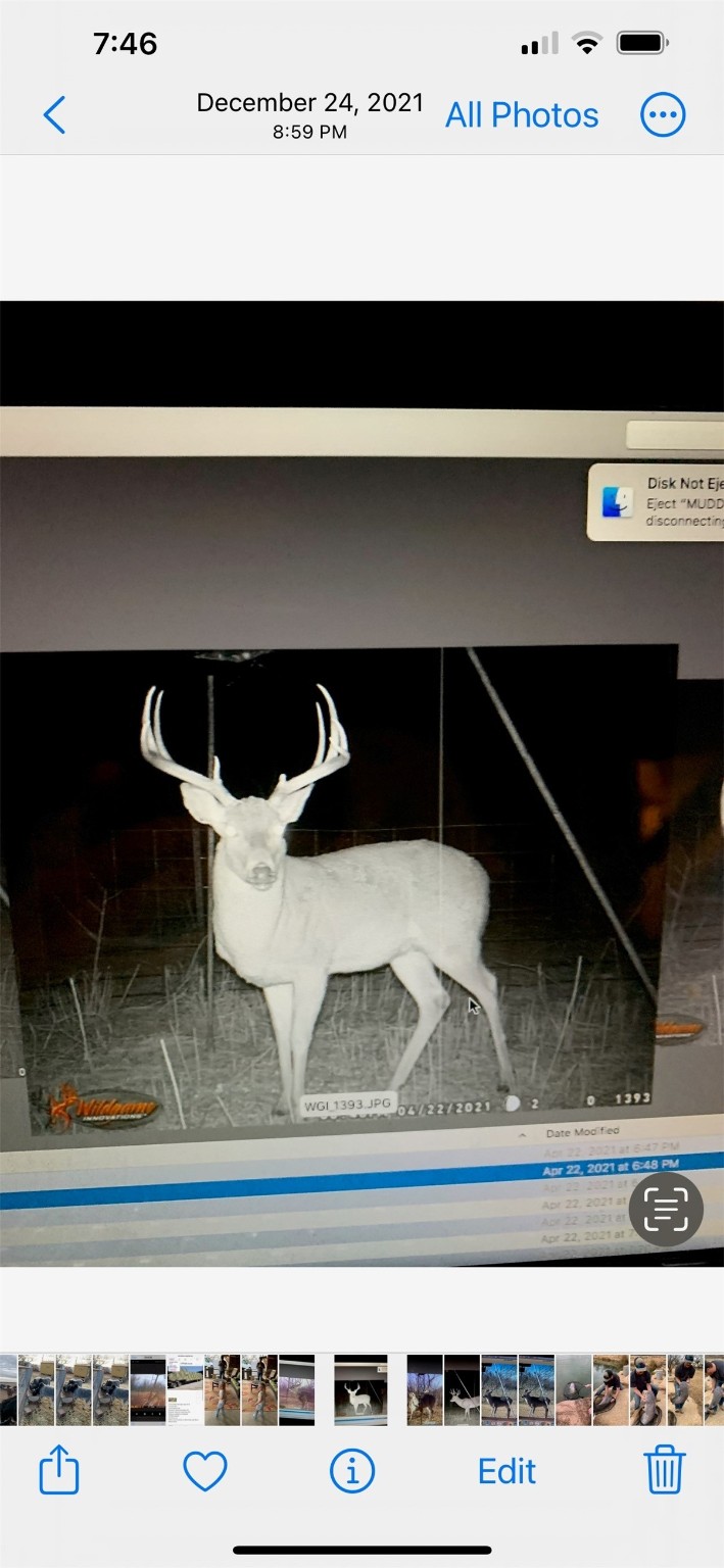 100+/- Ac TBD Hwy 6 , Lueders, TX, 79533 | 20792430 | Realty Texas LLC