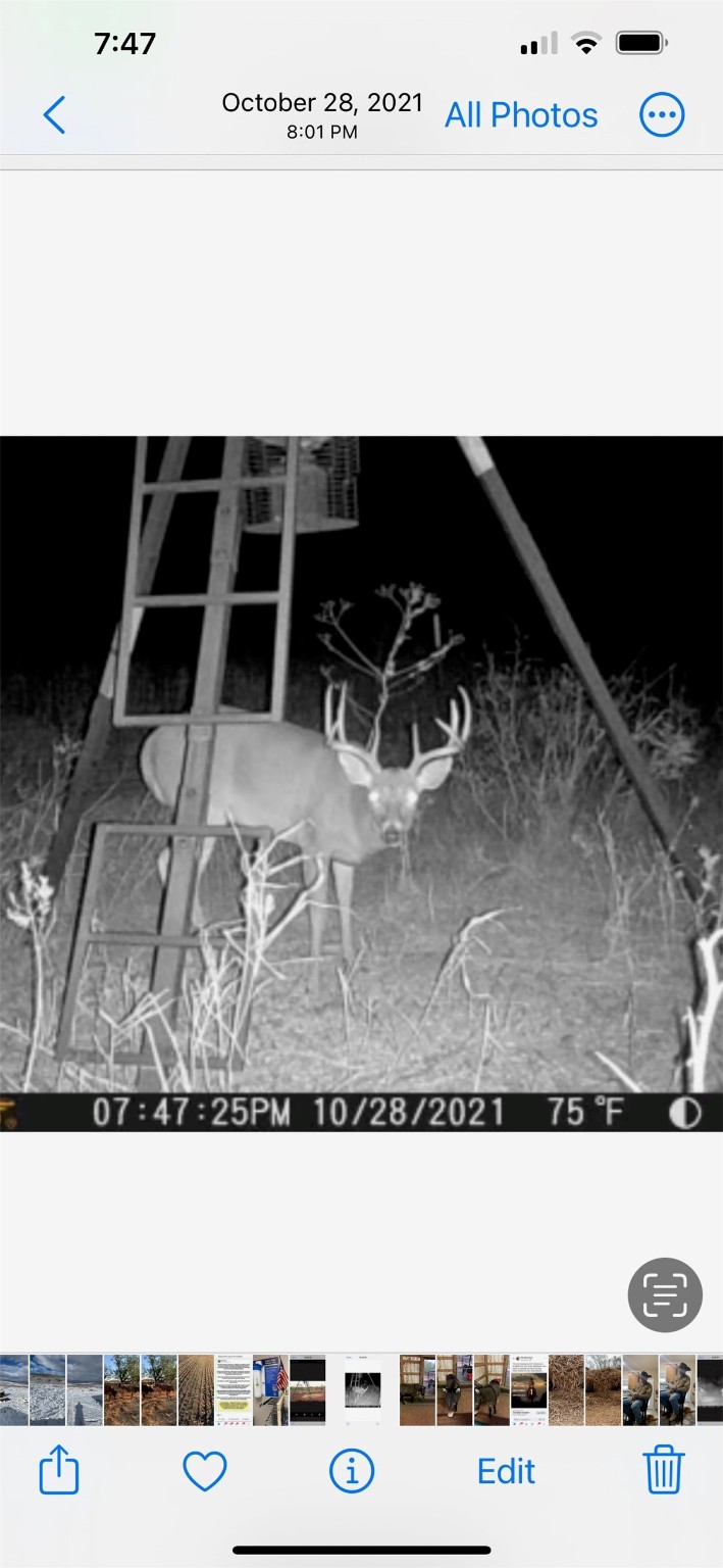 100+/- Ac TBD Hwy 6 , Lueders, TX, 79533 | 20792430 | Realty Texas LLC