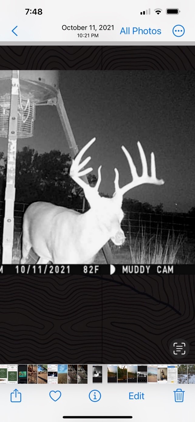 100+/- Ac TBD Hwy 6 , Lueders, TX, 79533 | 20792430 | Realty Texas LLC