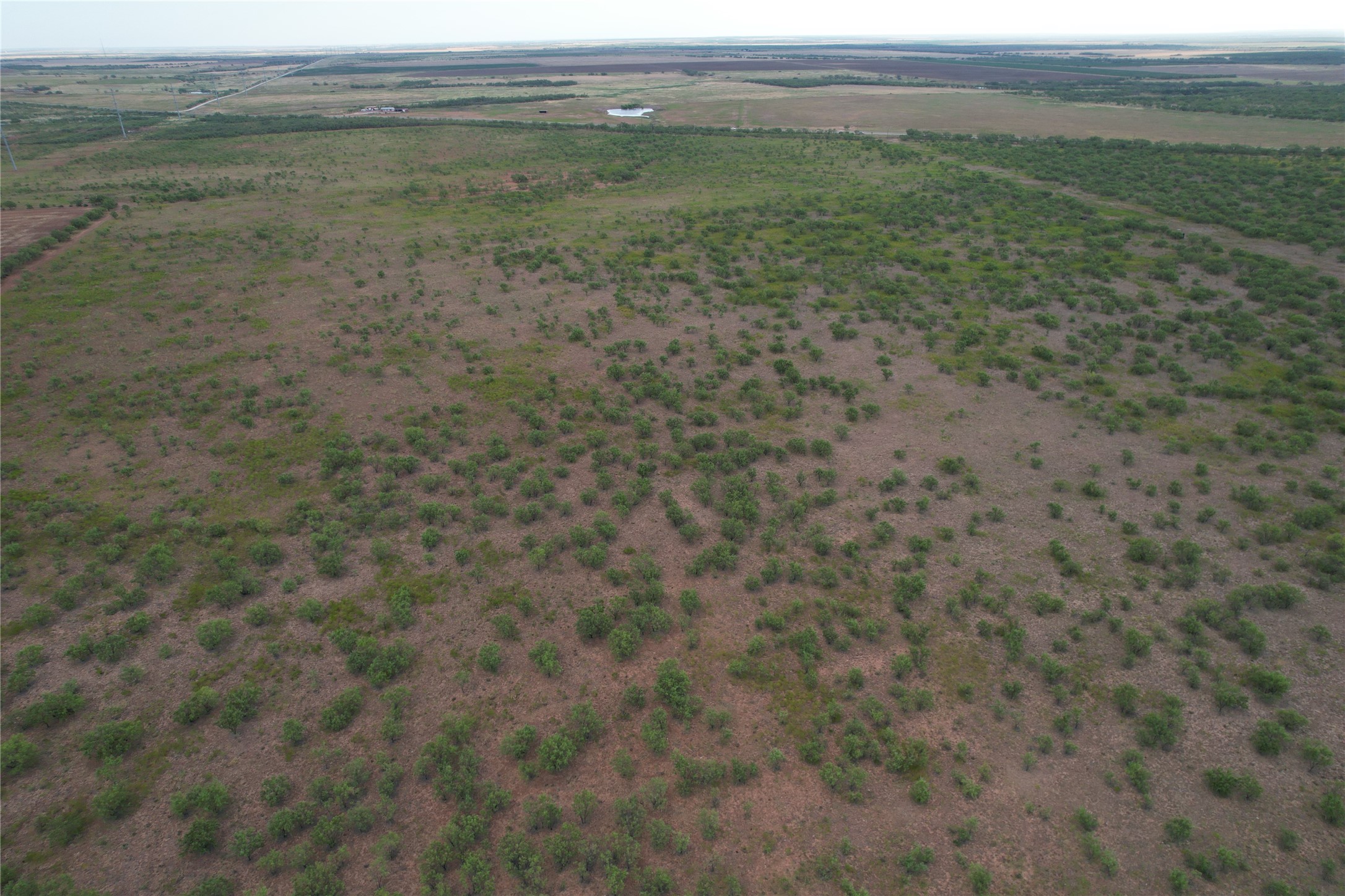 100+/- Ac TBD Hwy 6 , Lueders, TX, 79533 | 20792430 | Realty Texas LLC