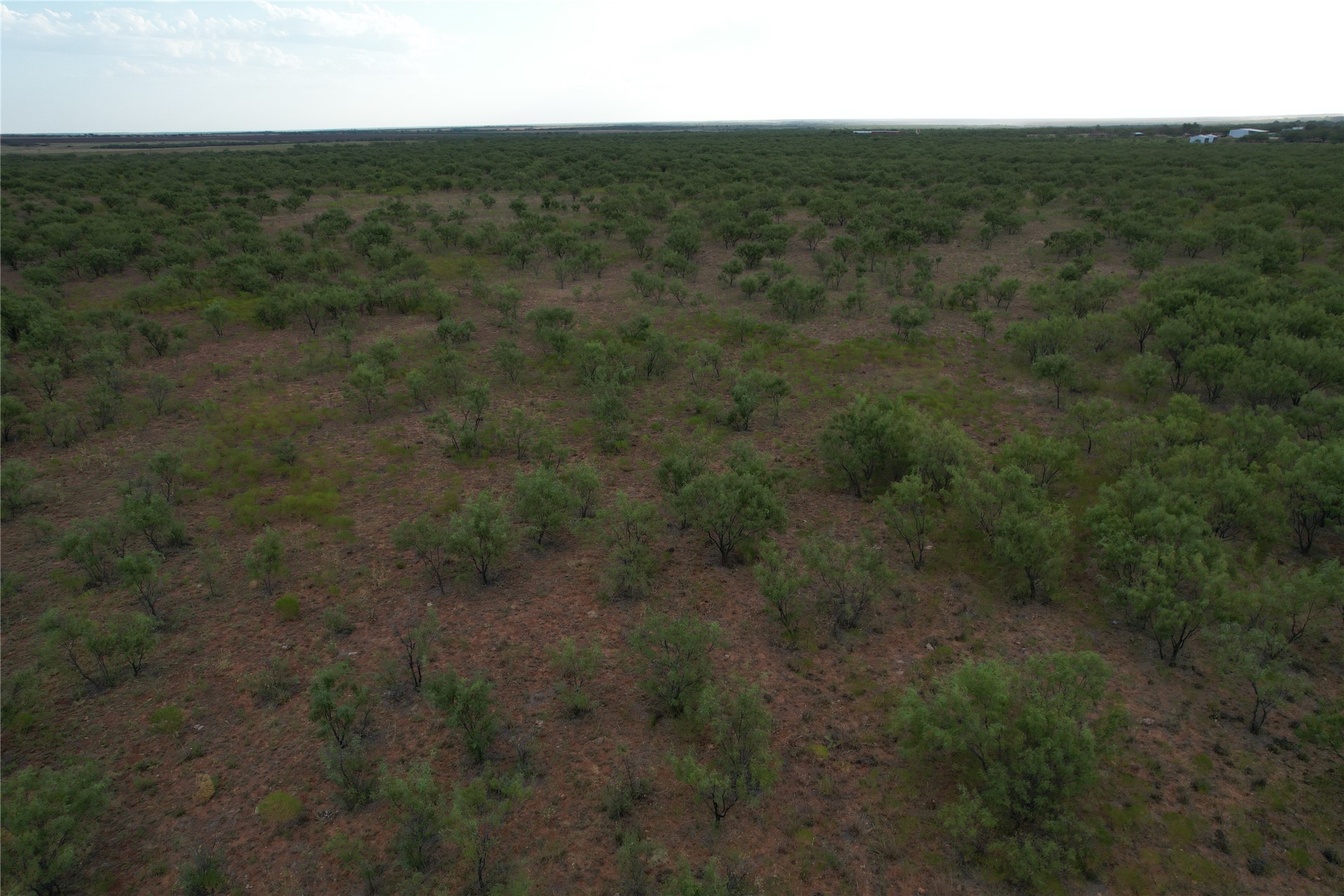 100+/- Ac TBD Hwy 6 , Lueders, TX, 79533 | 20792430 | Realty Texas LLC
