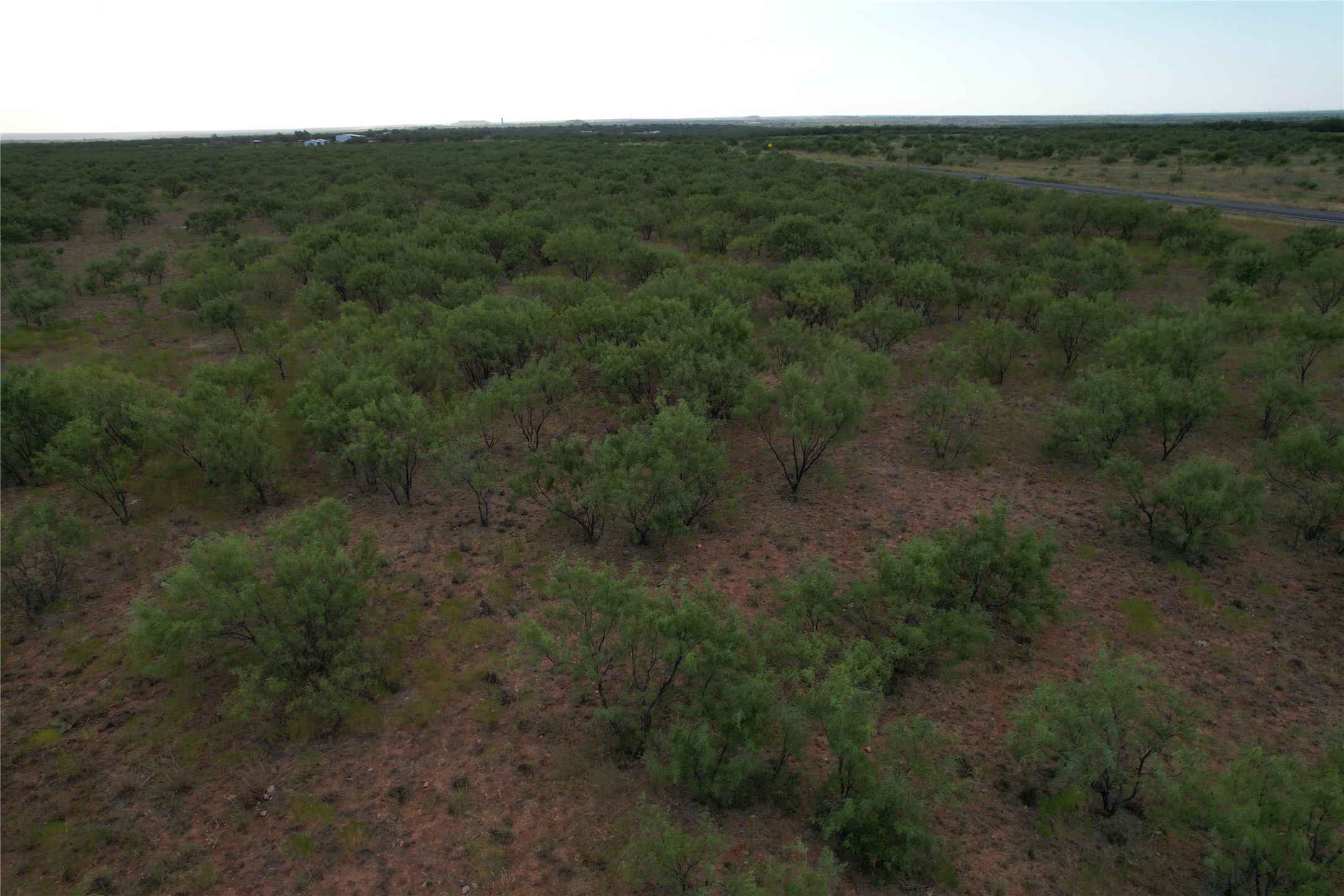 100+/- Ac TBD Hwy 6 , Lueders, TX, 79533 | 20792430 | Realty Texas LLC