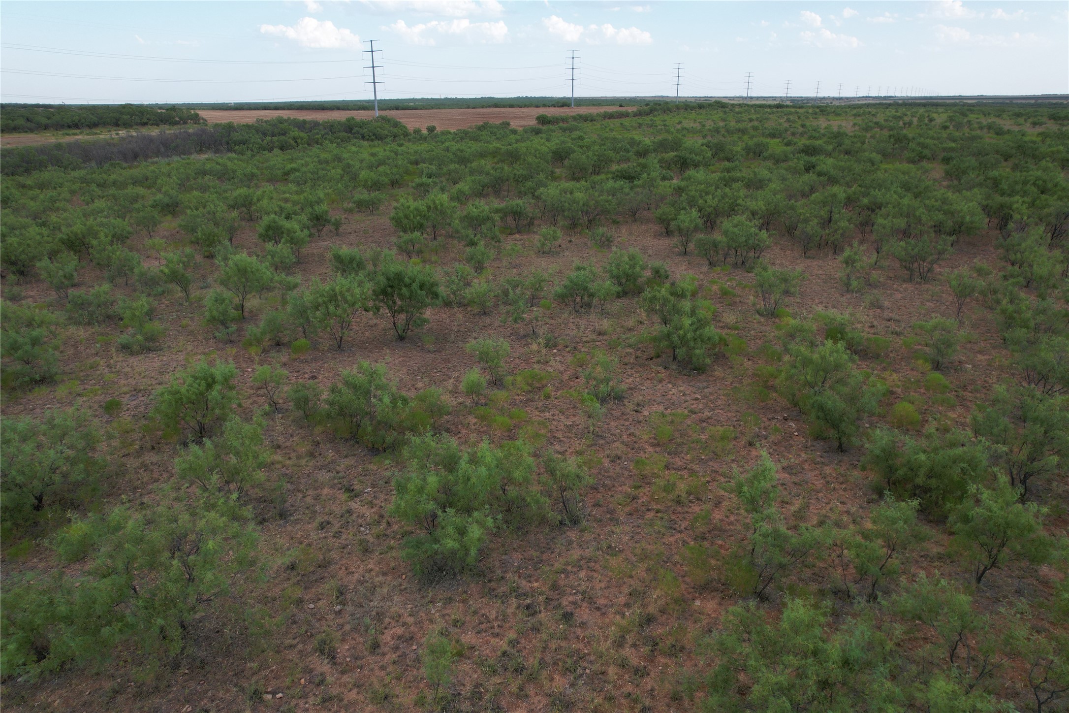 100+/- Ac TBD Hwy 6 , Lueders, TX, 79533 | 20792430 | Realty Texas LLC