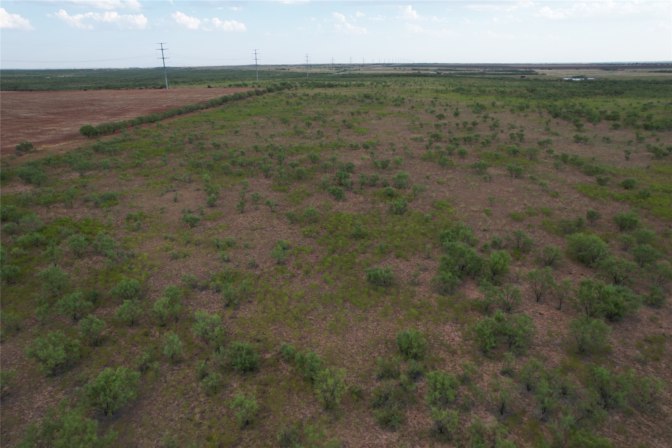 100+/- Ac TBD Hwy 6 , Lueders, TX, 79533 | 20792430 | Realty Texas LLC