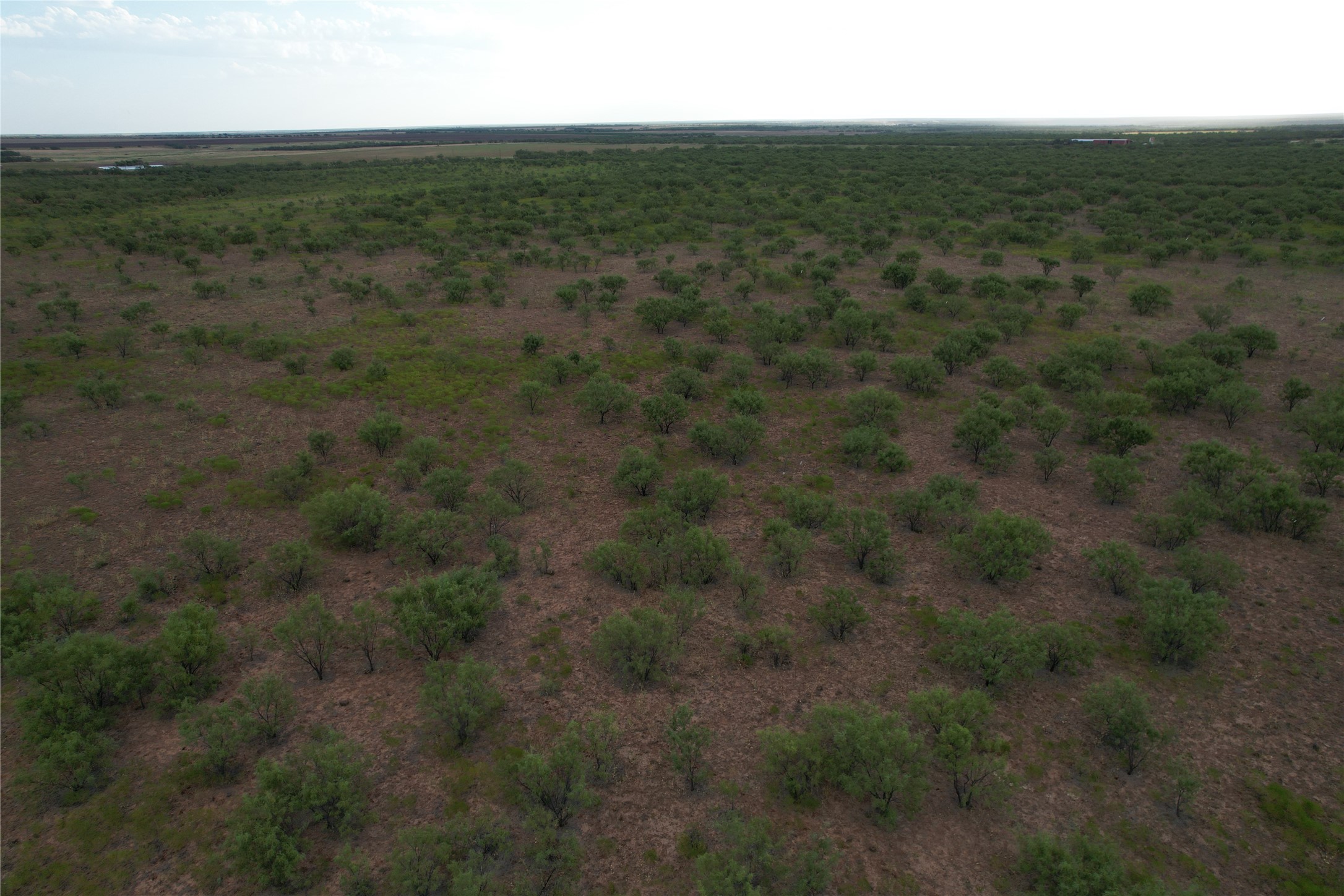 100+/- Ac TBD Hwy 6 , Lueders, TX, 79533 | 20792430 | Realty Texas LLC