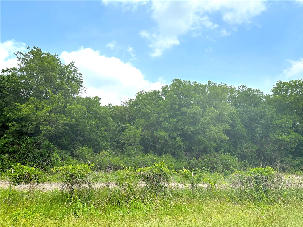 00 TRACT 18 Winchester Drive , Moody, TX, 76557 | 216384 | Realty Texas LLC
