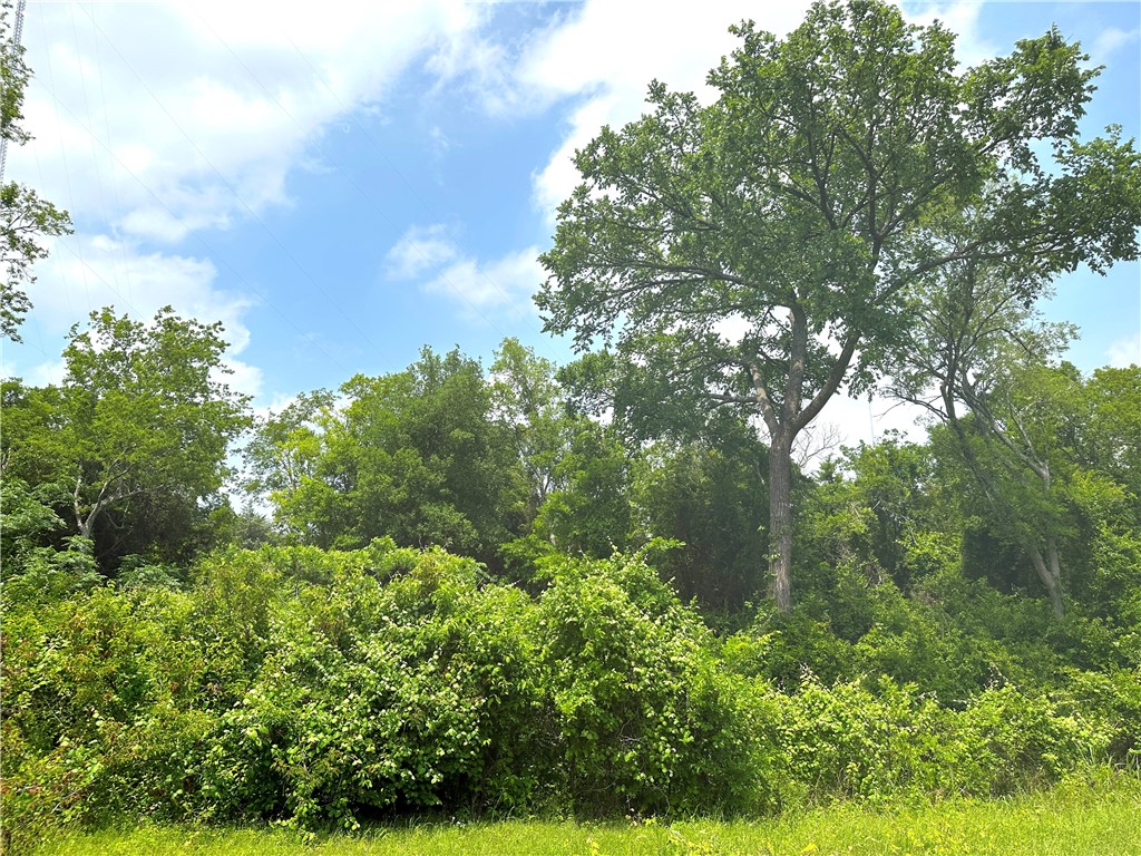 00 TRACT 18 Winchester Drive , Moody, TX, 76557 | 216384 | Realty Texas LLC