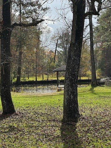 212 Magnolia Point Drive , Huffman, TX, 77336 | 27203655 | Realty Texas LLC