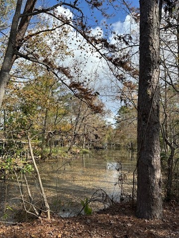 212 Magnolia Point Drive , Huffman, TX, 77336 | 27203655 | Realty Texas LLC