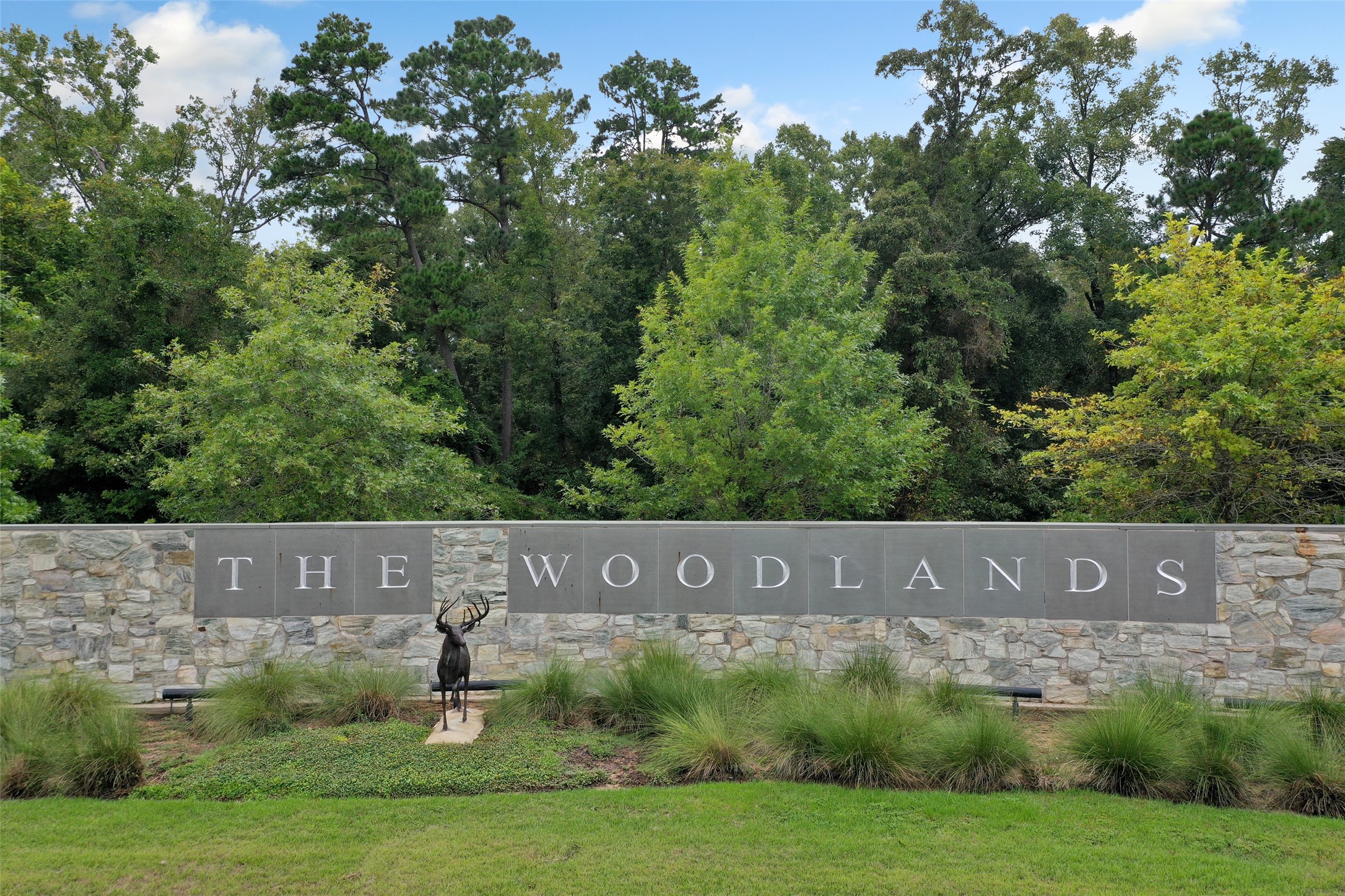 1 Waterway Court 2A , The Woodlands, TX, 77380 | 5091391 | Realty Texas LLC