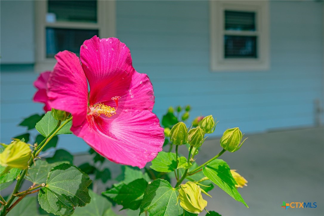 246 Starboard Avenue , Rockport, TX, 78382 | 565296 | Realty Texas LLC