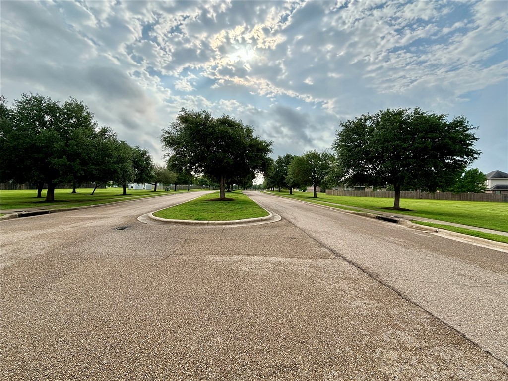 15280 Still Water Meadow Loop , College Station, TX, 77845 | 24017849 | Realty Texas LLC