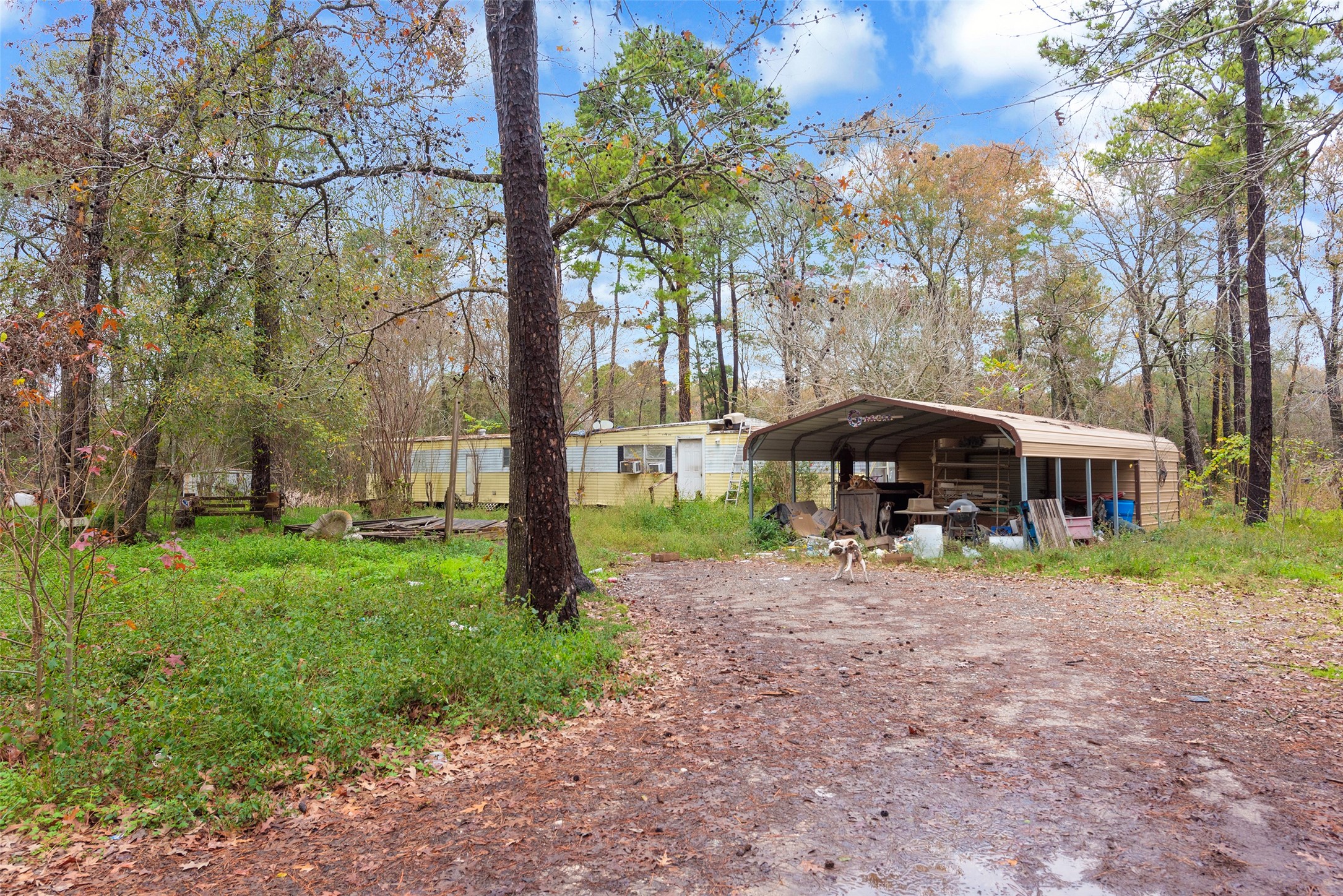 12130 Aqueduct Road , Houston, TX, 77044 | 49052689 | Realty Texas LLC