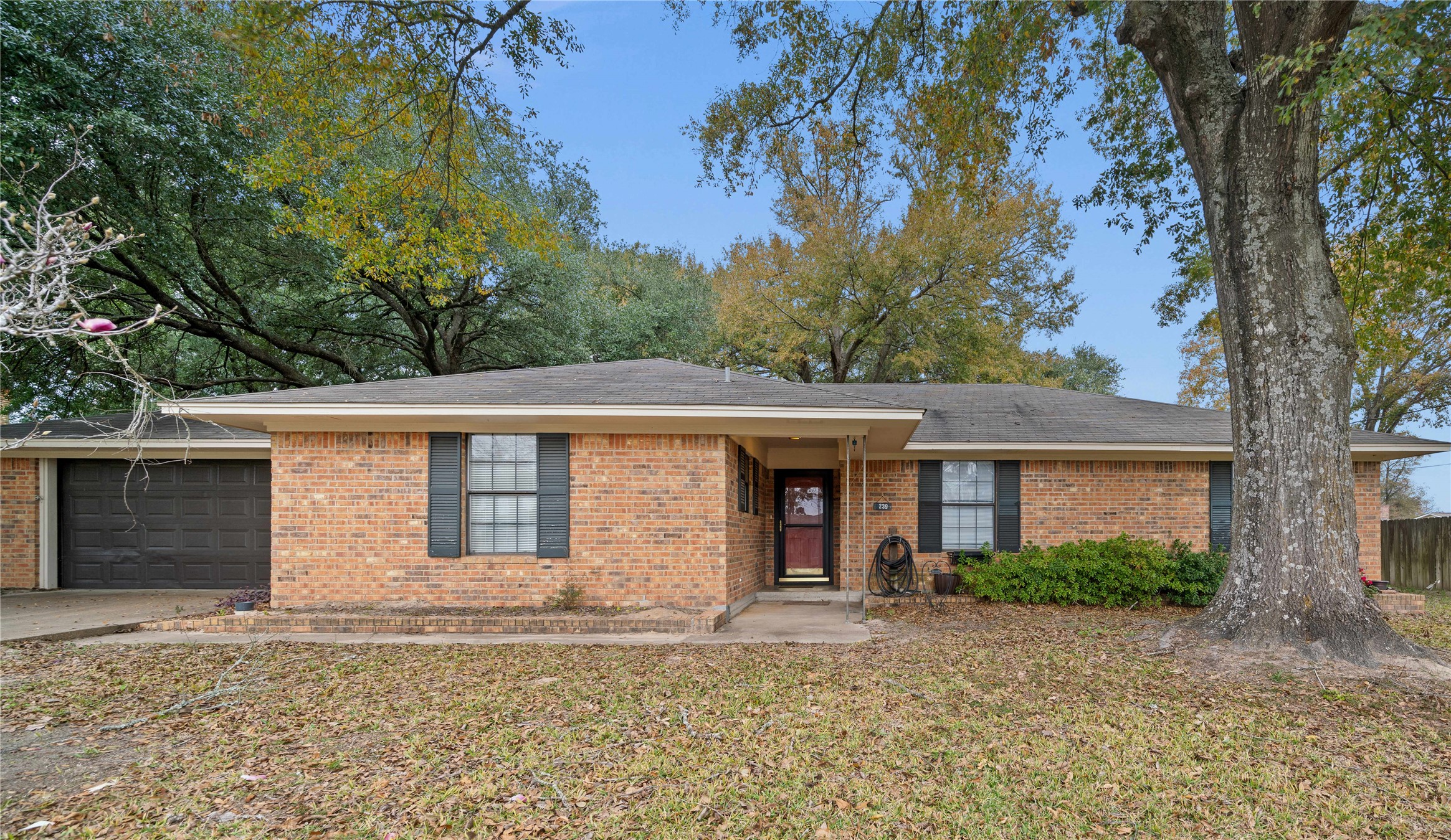 239 Nelson Street , Rusk, TX, 75785 | 20808867 | Realty Texas LLC