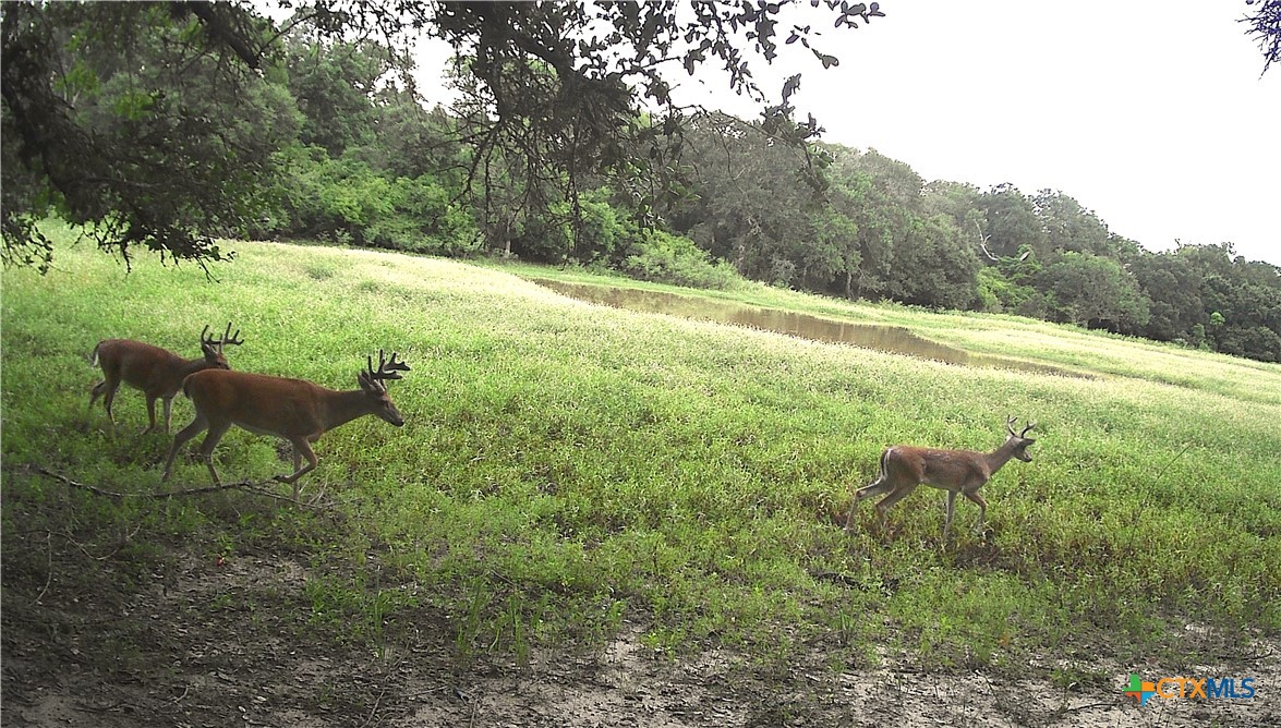 TBD2 County Road 19 , Garwood, TX, 77442 | 565618 | Realty Texas LLC