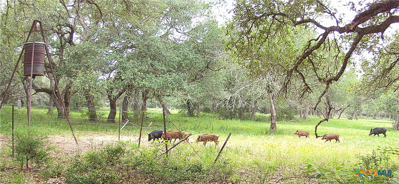 TBD2 County Road 19 , Garwood, TX, 77442 | 565618 | Realty Texas LLC