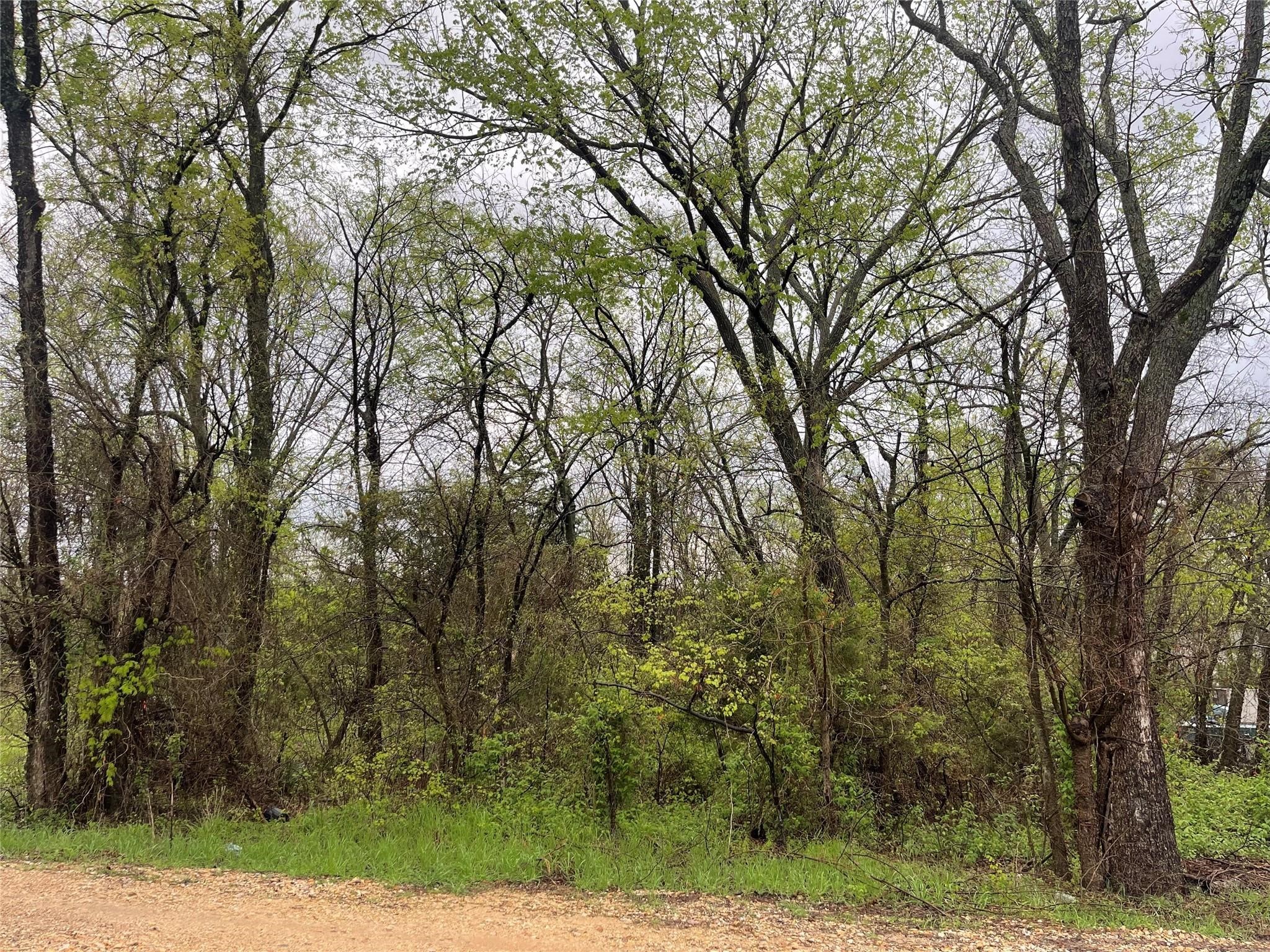 246 4th Street, Cooper, TX, 75432 | 20812080 | Realty Texas LLC