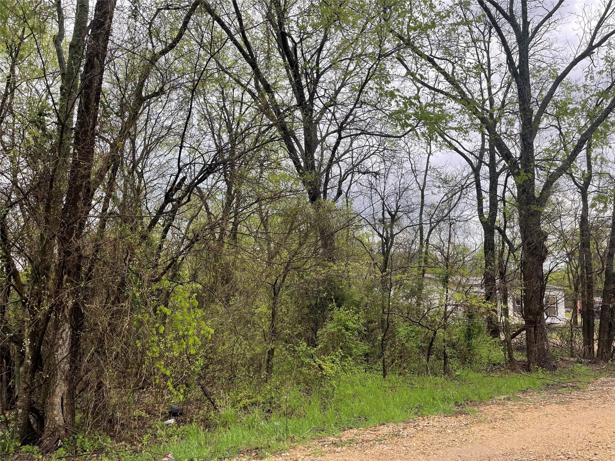 246 4th Street, Cooper, TX, 75432 | 20812080 | Realty Texas LLC