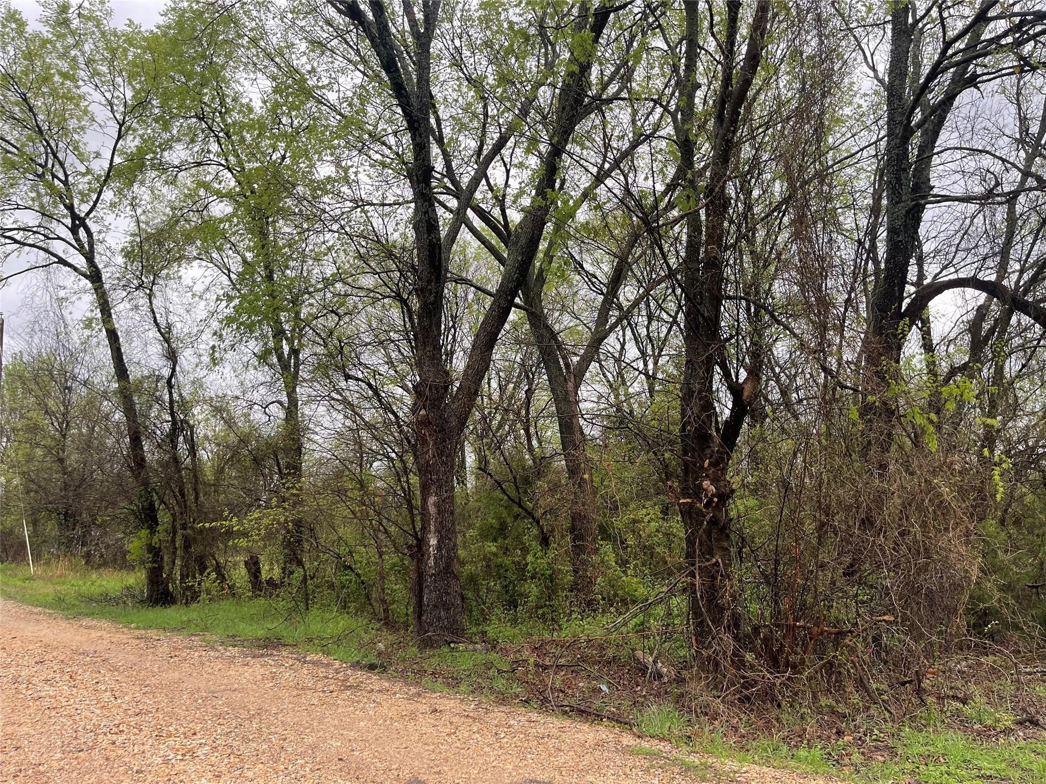 246 4th Street, Cooper, TX, 75432 | 20812080 | Realty Texas LLC