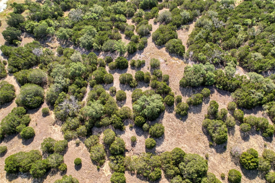 966 PR 4212 Road , Evant, TX, 76525 | 227440 | Realty Texas LLC