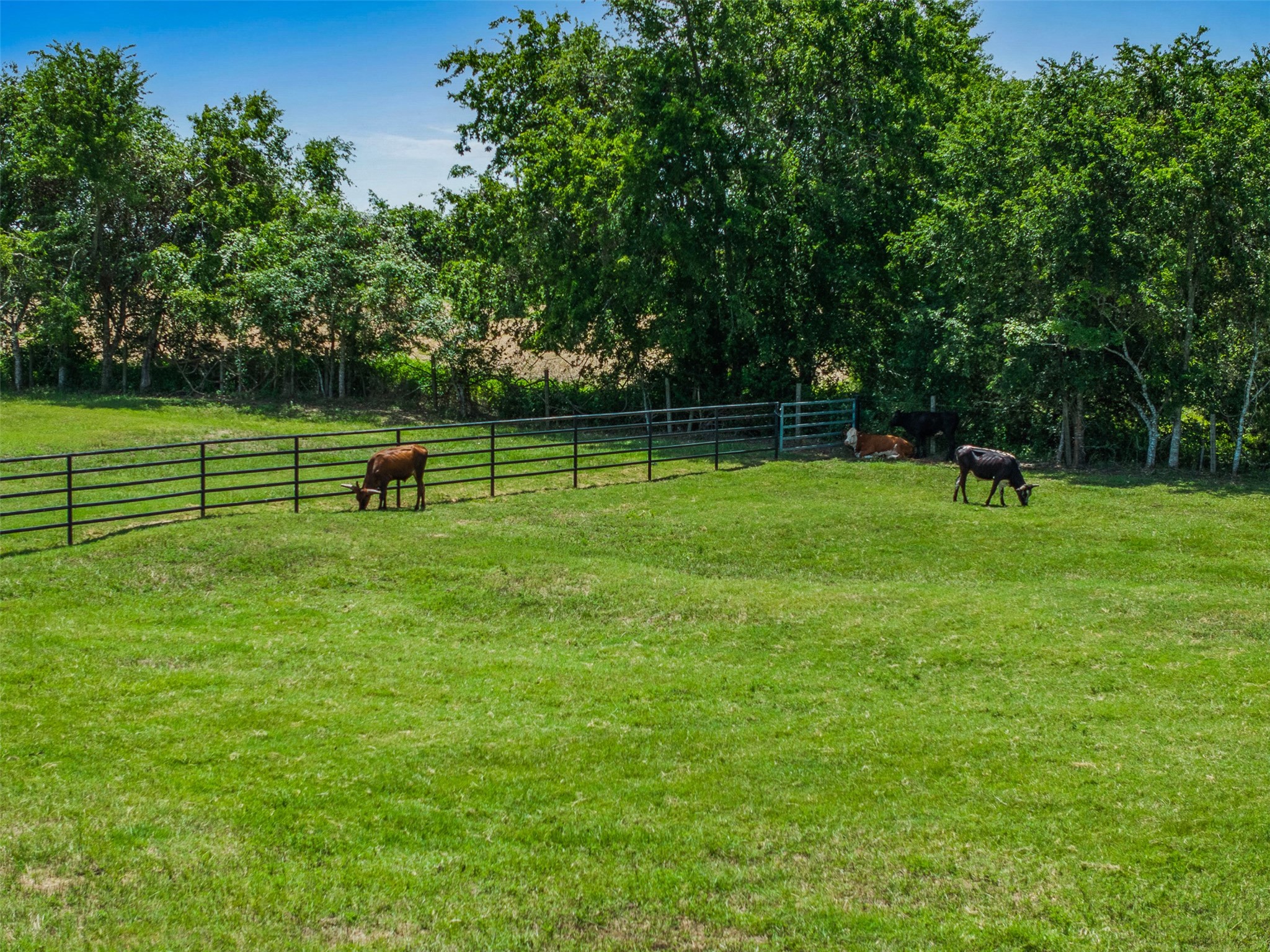 1725 Stokes Road, New Ulm, TX, 78950 | 17424385 | Realty Texas LLC