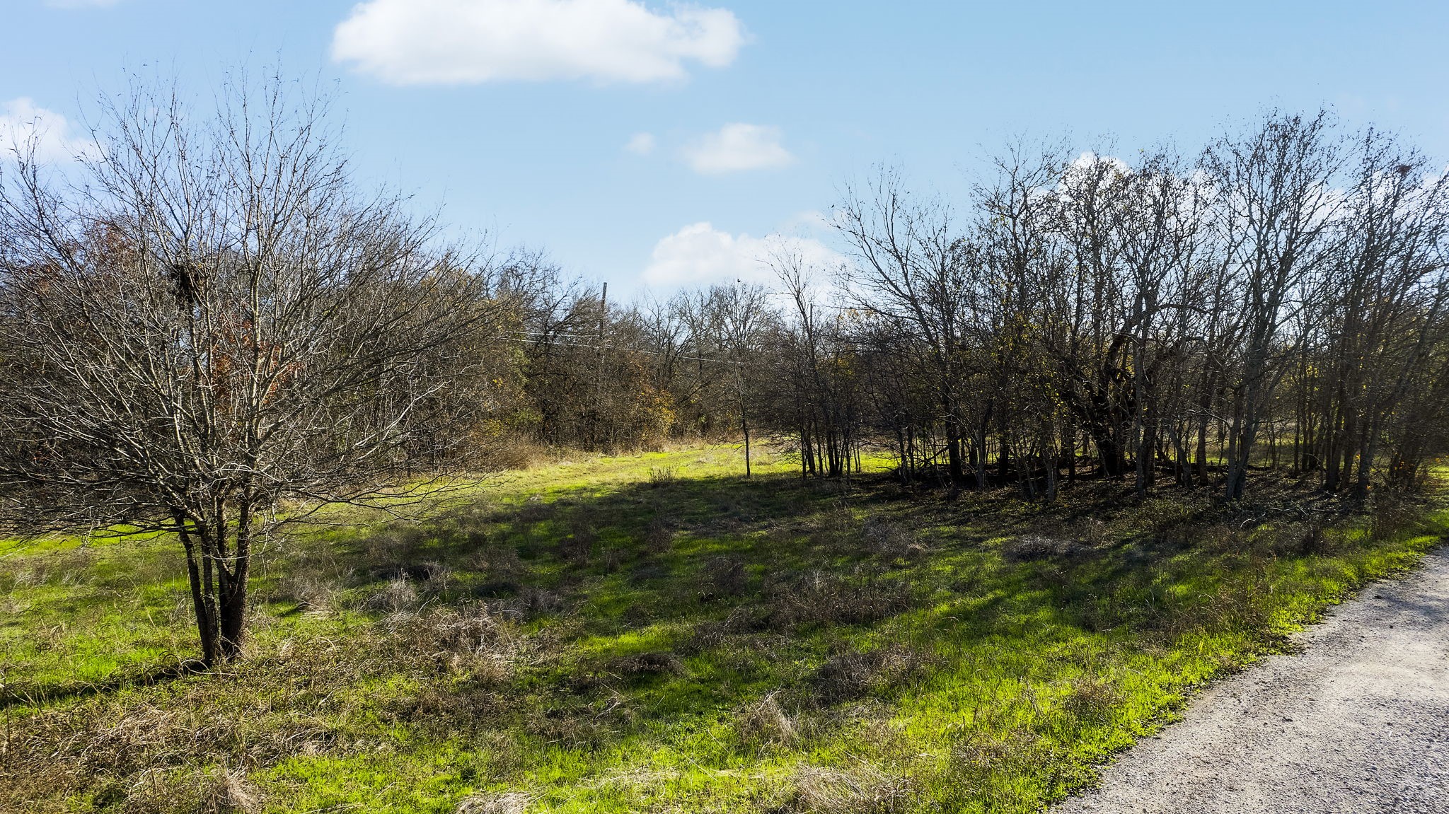 12406 Wirth Road, Manchaca, TX, 78652 | 3247098 | Realty Texas LLC