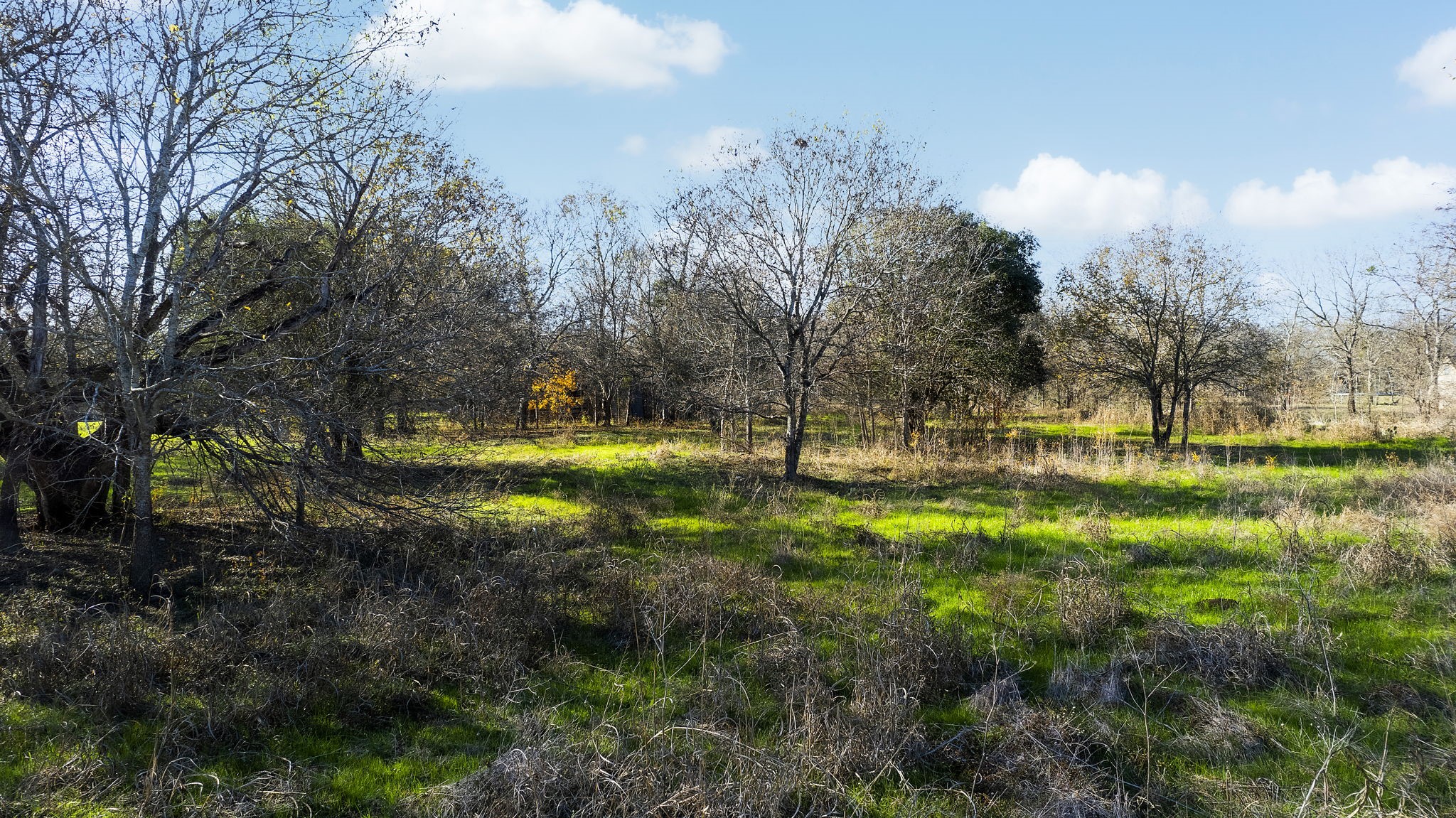 12406 Wirth Road, Manchaca, TX, 78652 | 3247098 | Realty Texas LLC