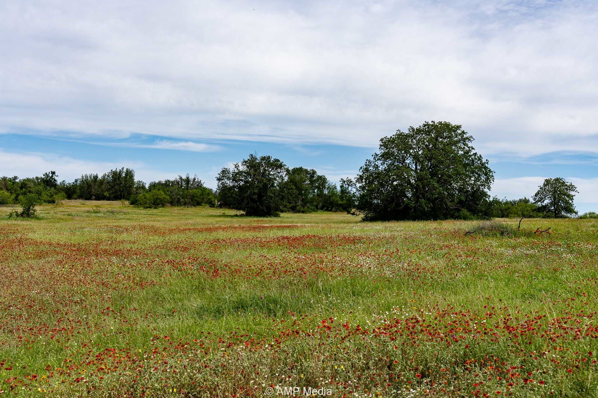 17921 Tx-16 , Comanche, TX, 76442 | 20811111 | Realty Texas LLC