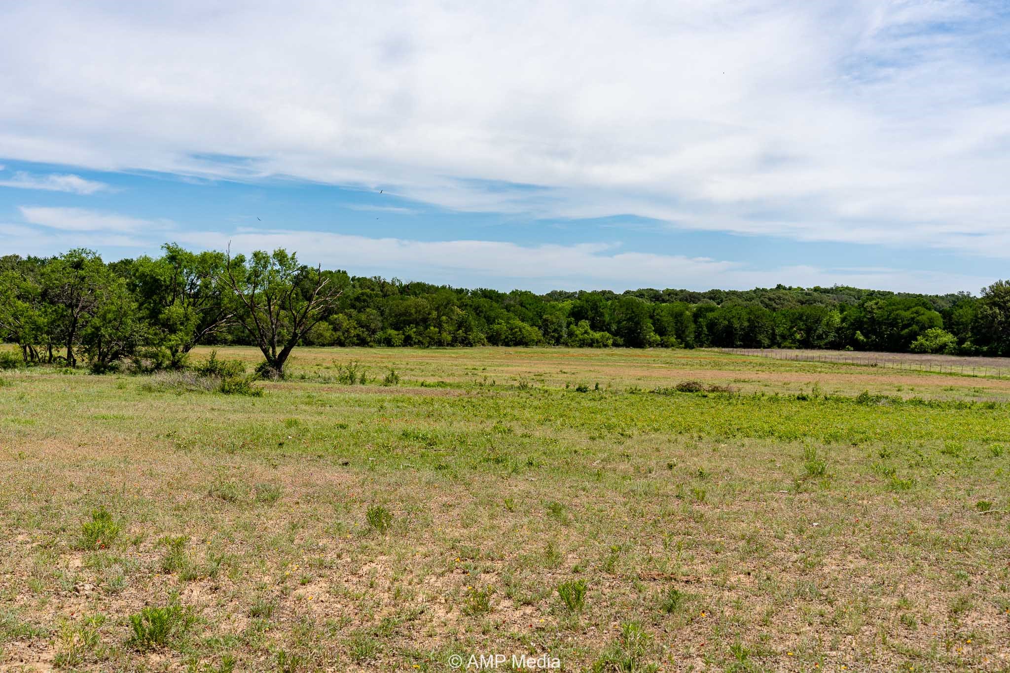 17921 Tx-16 , Comanche, TX, 76442 | 20811111 | Realty Texas LLC